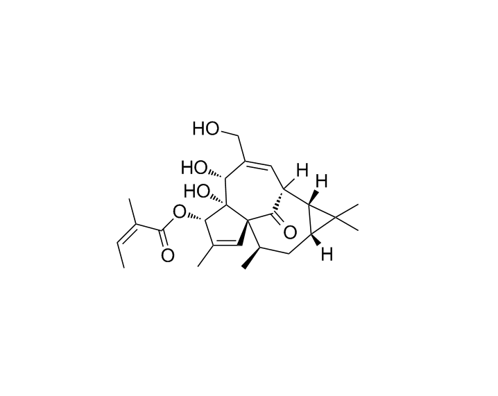 巨大戟醇-3-O-當歸酸酯|75567-37-2