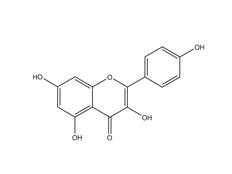 山奈酚|520-18-3