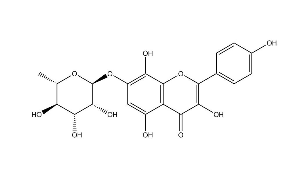 草質素苷|85571-15-9